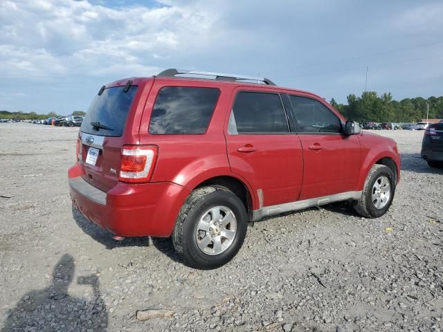 2010 Ford Escape Limited