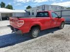 2014 Ford F150