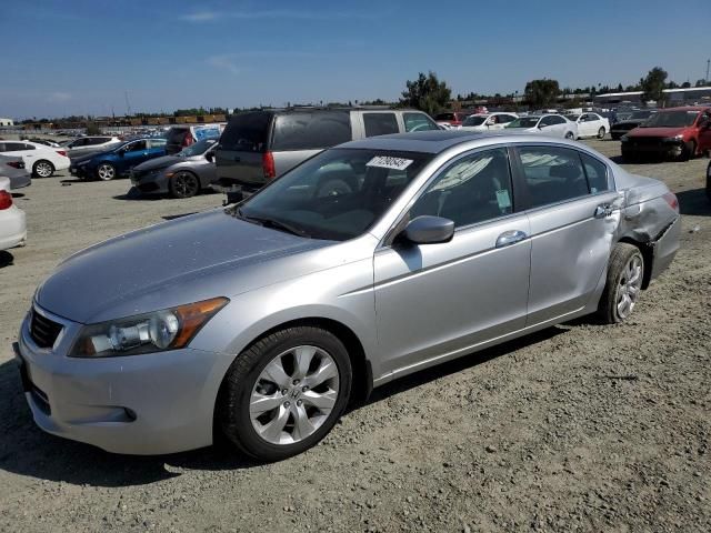 2010 Honda Accord EXL