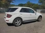 2009 Mercedes-Benz Ml 550