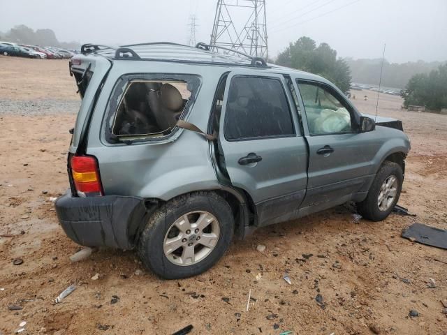 2005 Ford Escape XLT