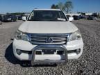 2011 Lexus GX 460