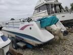 1995 Godfrey Hurricane