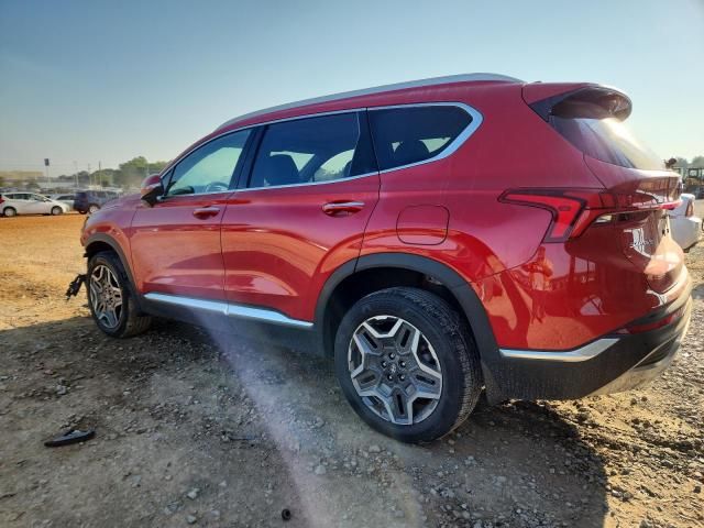 2023 Hyundai Santa fe sel Premium