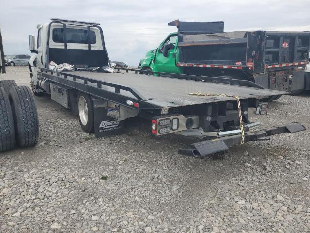 2025 International Mv607-flat bed Truck