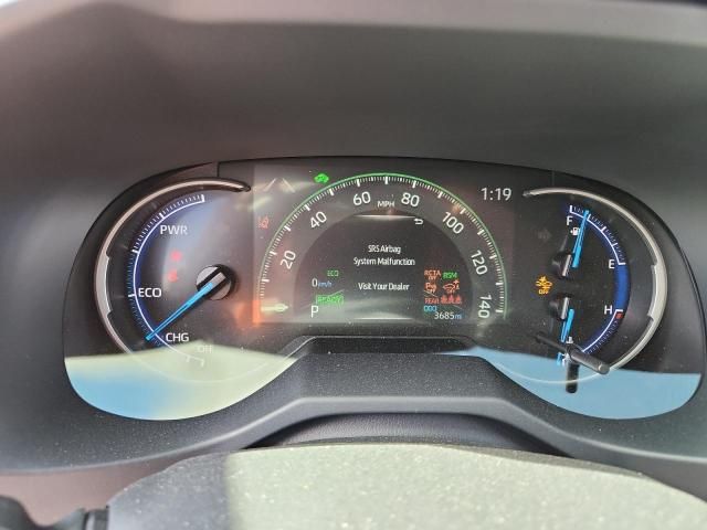 2025 Toyota Rav4 XLE Premium