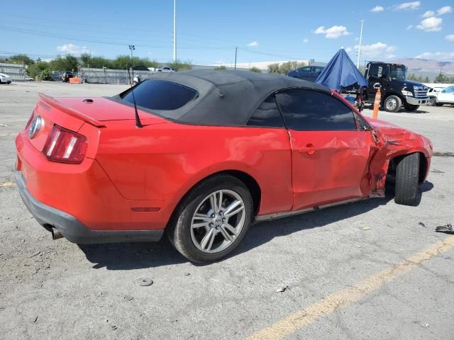 2010 Ford Mustang