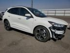 2023 Ford Escape st Line Select