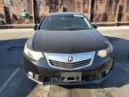 2012 Acura TSX Tech