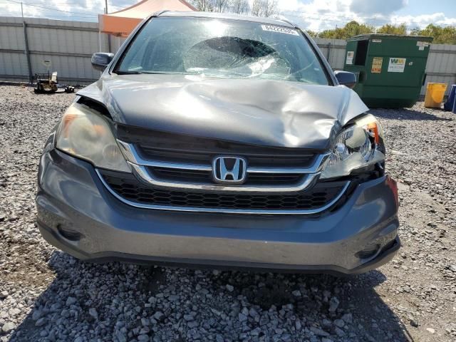 2010 Honda CR-V EXL