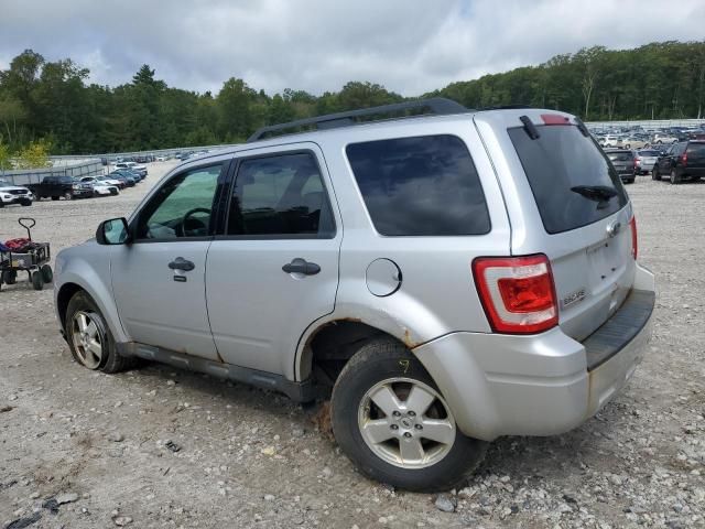 2011 Ford Escape XLT
