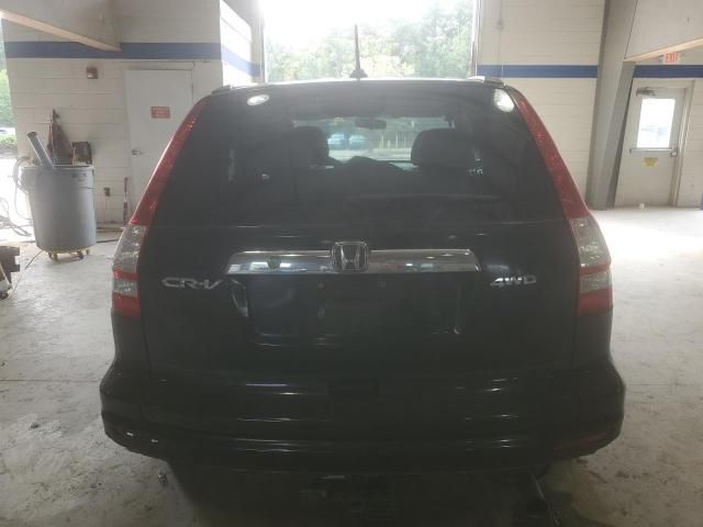 2010 Honda CR-V EXL
