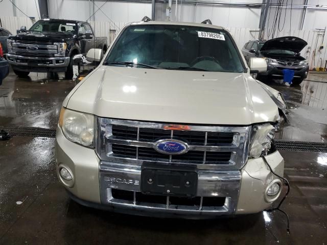2011 Ford Escape Limited