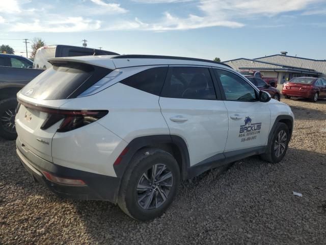 2022 Hyundai Tucson Blue