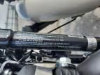 2022 Harley-Davidson XL883 N