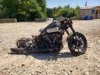 2025 Harley-Davidson Fxlrst