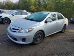 Toyota Vehiculos salvage en venta: 2011 Toyota Corolla Base
