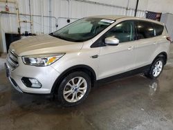 2017 Ford Escape SE for sale in Avon, MN