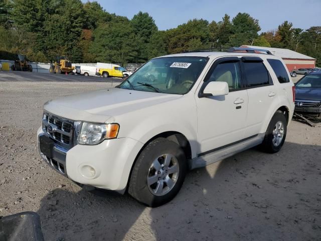 2010 Ford Escape Limited