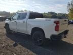 2025 Chevrolet Silverado K1500 LT Trail Boss