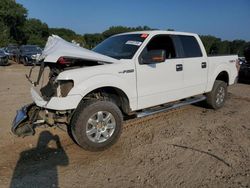 2011 Ford F150 Supercrew en venta en Conway, AR
