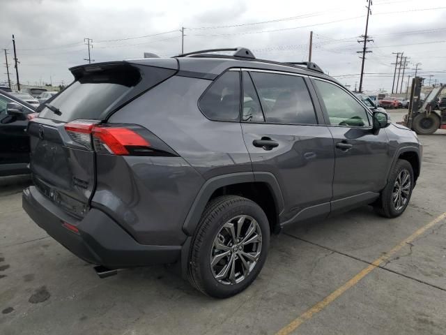 2025 Toyt 2025 Toyota Rav4 XLE Premium