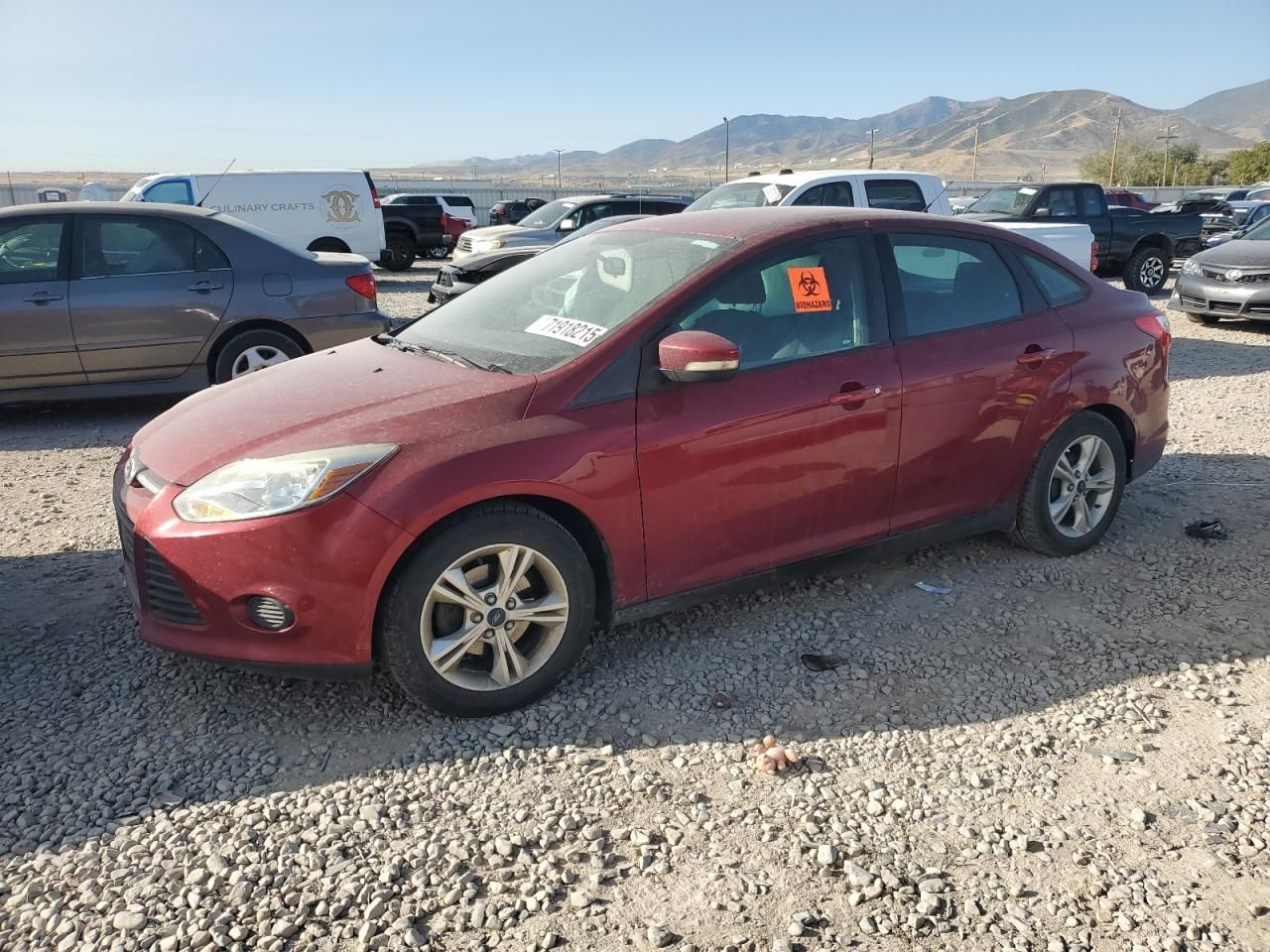 2013 Ford Focus se