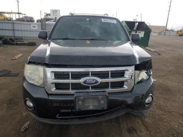 2011 Ford Escape XLT