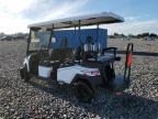 2024 Bintelli Bintelli Golf Cart
