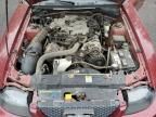 2004 Ford Mustang