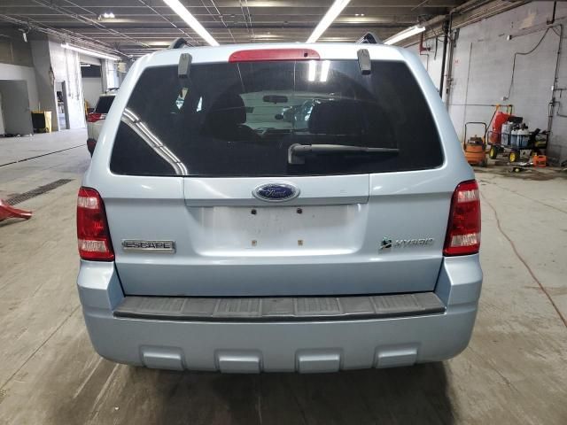 2008 Ford Escape HEV