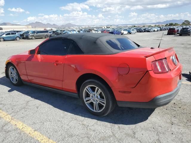 2010 Ford Mustang