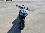 2019 Triumph Speed Triple RS