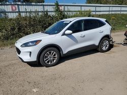 Ford Escape salvage cars for sale: 2020 Ford Escape SE
