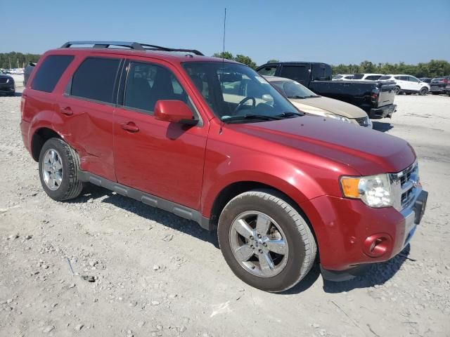 2012 Ford Escape Limited