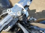 2002 Harley-Davidson Flstf