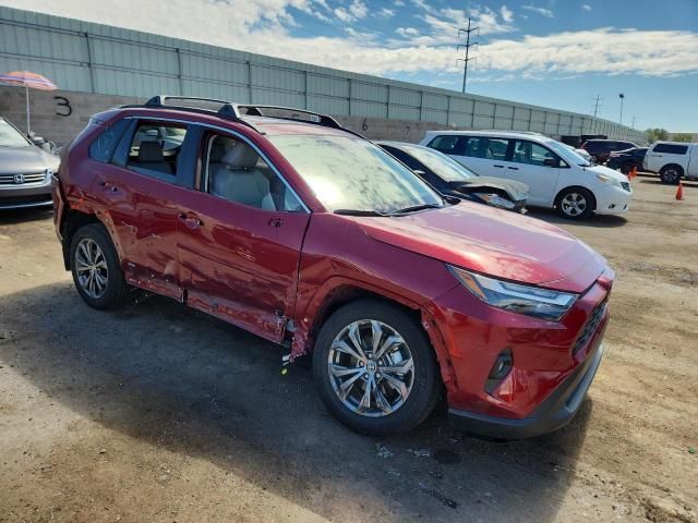 2025 Toyota Rav4 XLE Premium