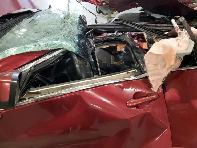 2004 Honda Accord EX