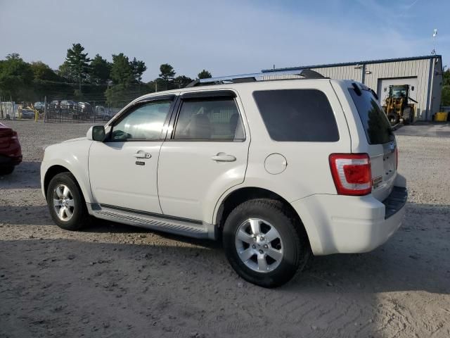 2010 Ford Escape Limited