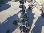 2000 Harley-Davidson XL883