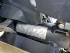 2024 Cf Moto 450SS