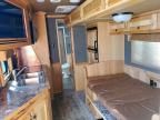 2024 Merhow Longhorn Horse Trailer