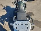 2020 Triumph Tiger 900 Rally