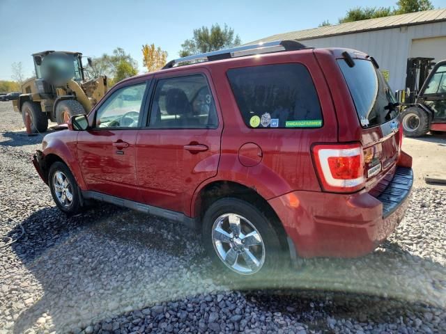 2010 Ford Escape Limited