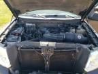 2008 Ford F150