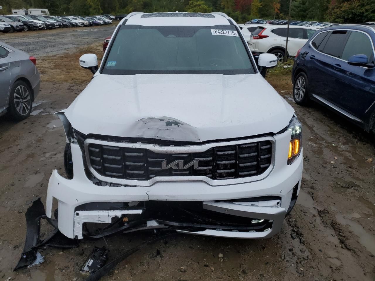 2025 KIA Telluride sx