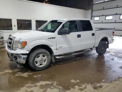Salvage trucks for sale at Blaine, MN auction: 2014 Ford F150 Supercrew
