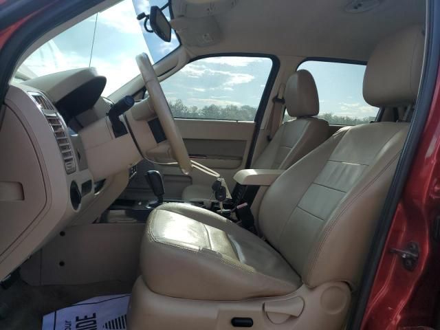 2010 Ford Escape Limited