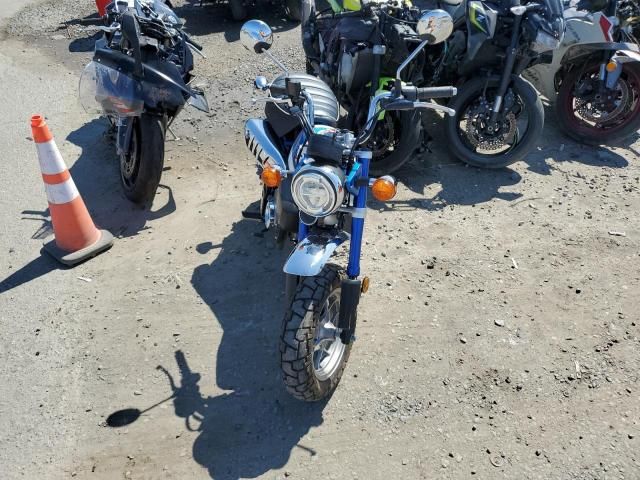 2021 Honda Z125 M