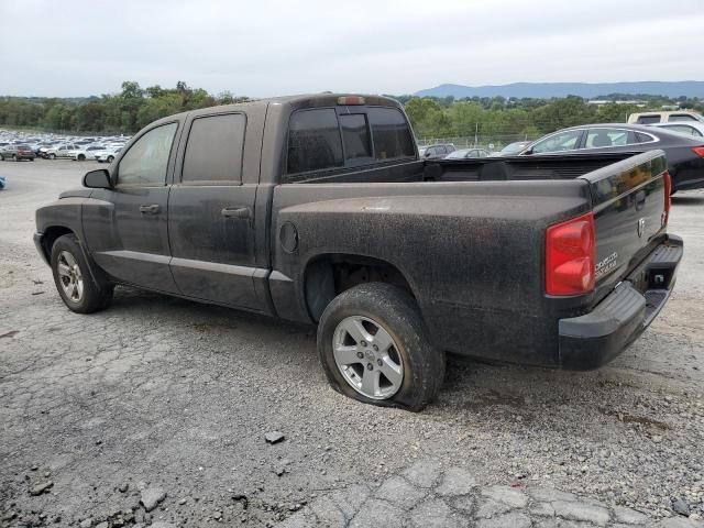 2007 Dodge Dakota Quad SLT